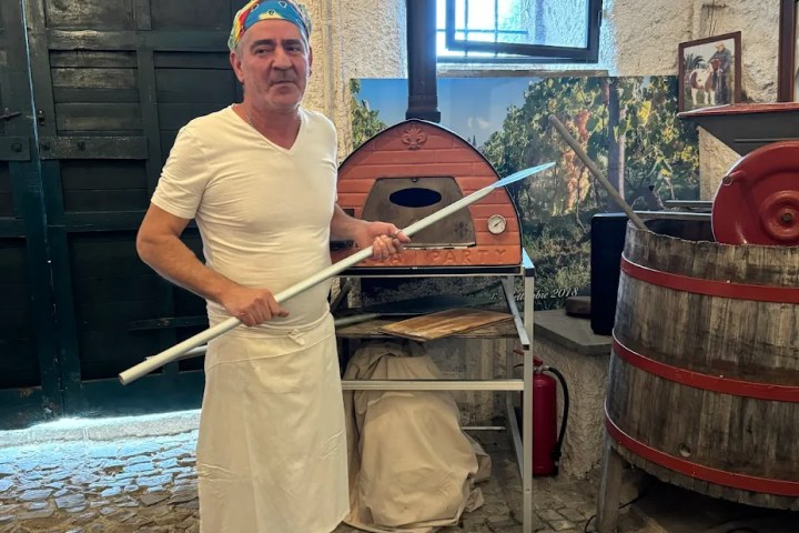 Pizza Masterclass & Wine Tour in the Vineyard Experience