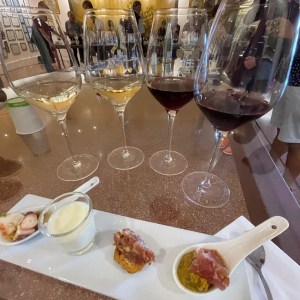 Visit with Wine & Tapas Pairing Experience