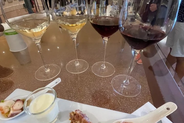 Visit with Wine & Tapas Pairing Experience