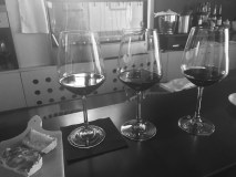 Chianti Classico Guided Wine Tasting Experience