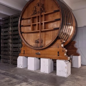 Champagne Introduction Experience