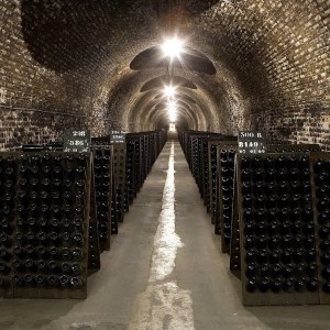 Champagne Introduction Experience