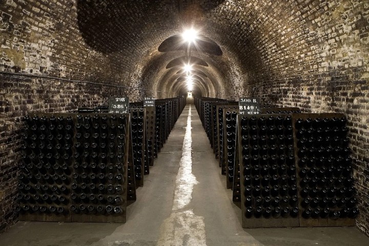 Champagne Introduction Experience