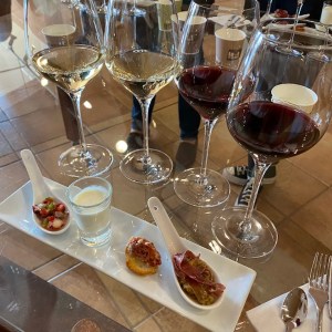 Visit with Wine & Tapas Pairing Experience