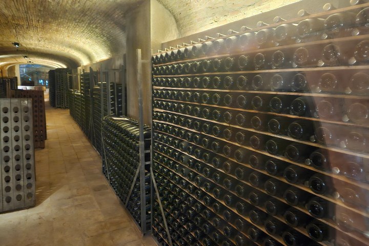 Discovery Cellars Experience