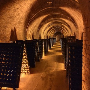 Champagne Introduction Experience