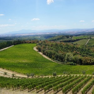 Chianti Premium Wine Masterclass Experience
