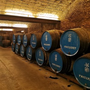 Sparkling Wines Visit & Paring Experience