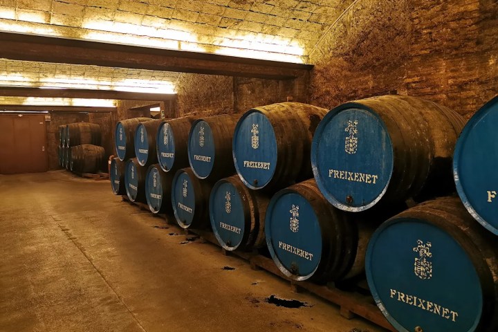 Sparkling Wines Visit & Paring Experience