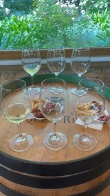 Elciego Winery Tour & Guided Tasting Experience