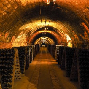 Discovery Cellars Experience