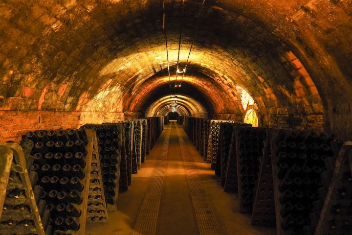 Discovery Cellars Experience