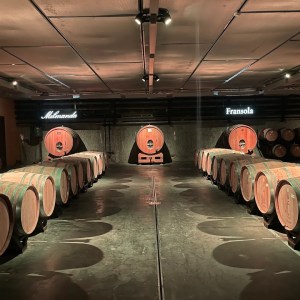 Visit with Wine & Cheese Pairing