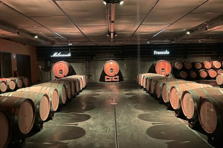 Visit with Wine & Cheese Pairing