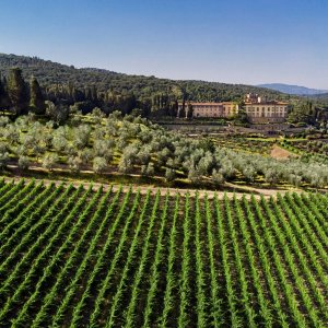 Tuscan Private Art of Wine Tasting Experience