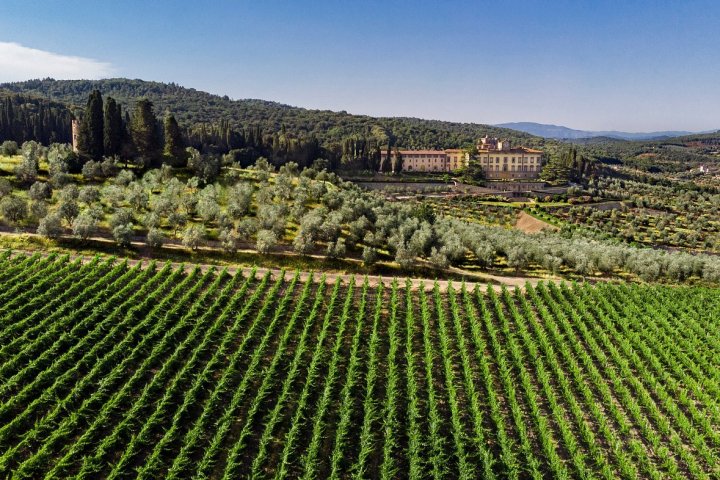 Tuscan Private Art of Wine Tasting Experience