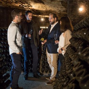 Sparkling Wines Visit & Paring Experience