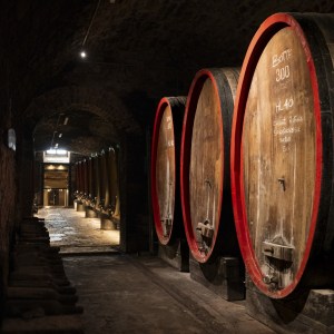 Tuscan Wine Cellar's Tour Experience