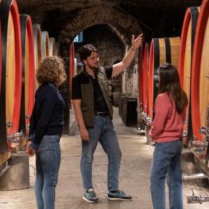 Tuscan Wine Cellar's Tour Experience