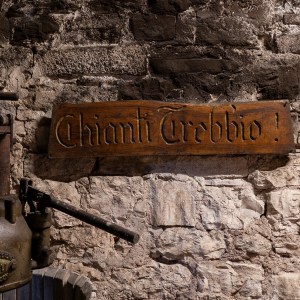 Tuscan Wine Cellar's Tour Experience