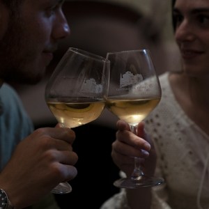 Tuscan Wine Cellar's Tour Experience