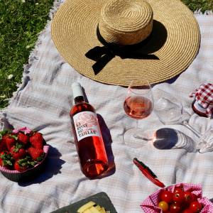 Bordeaux wine picnic tour