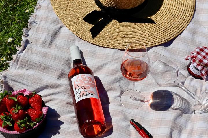 Bordeaux wine picnic tour