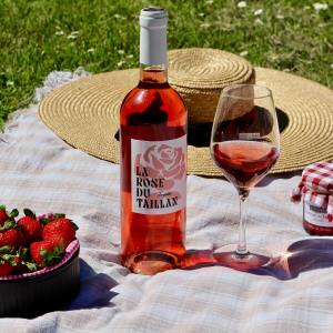 Bordeaux wine picnic tour