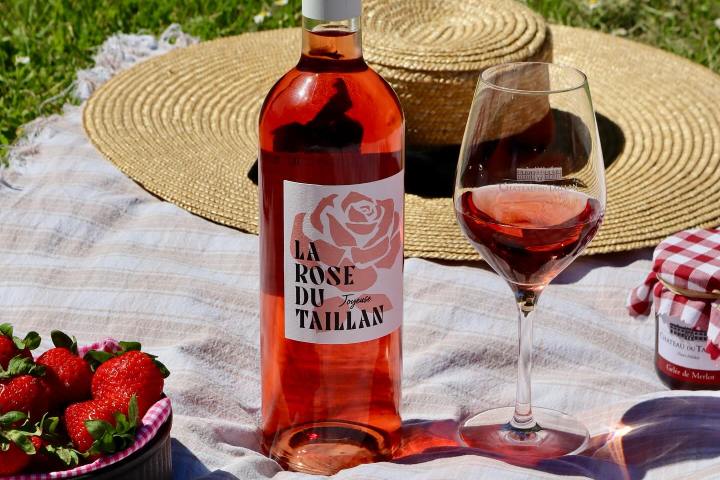 Bordeaux wine picnic tour