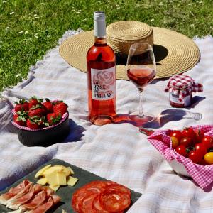 Bordeaux wine picnic tour
