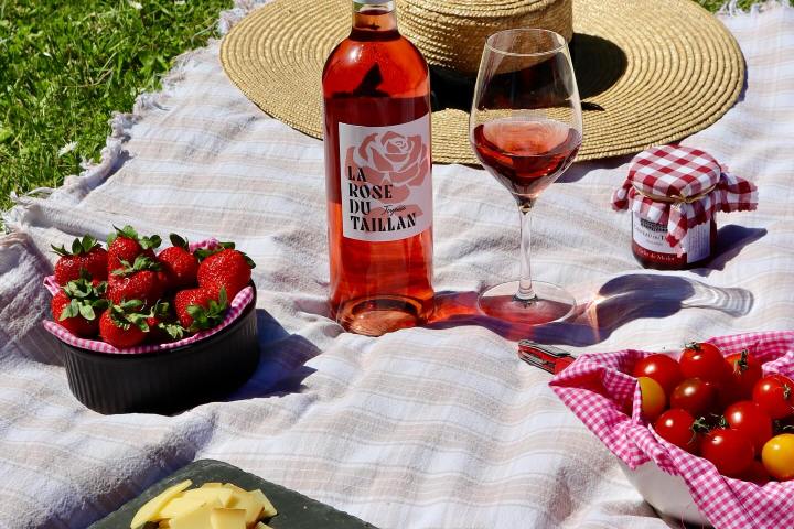 Bordeaux wine picnic tour