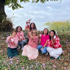 Bordeaux wine picnic tour