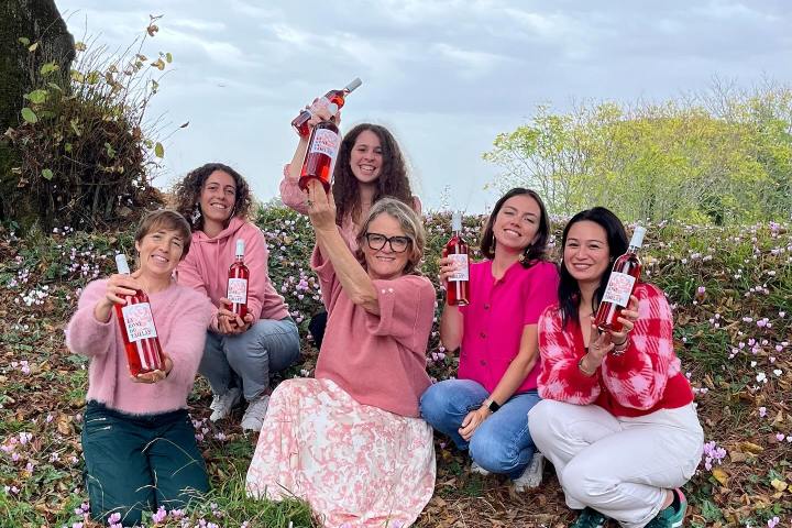 Bordeaux wine picnic tour