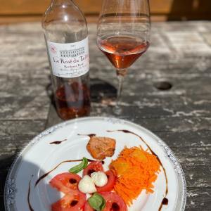 Bordeaux wine picnic tour