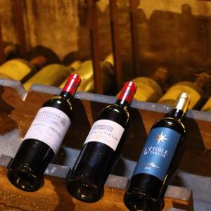 Bordeaux Vertical Wine Experience