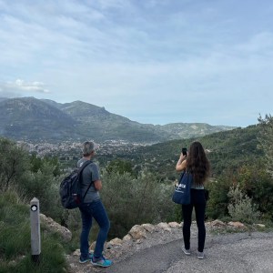 Mallorca Olive Oil Farm Tour
