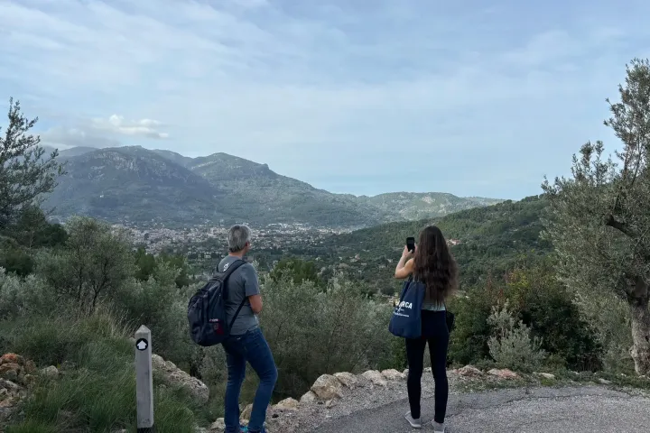 Mallorca Olive Oil Farm Tour