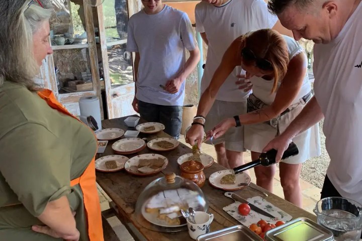 Mallorca Olive Oil Farm Tour