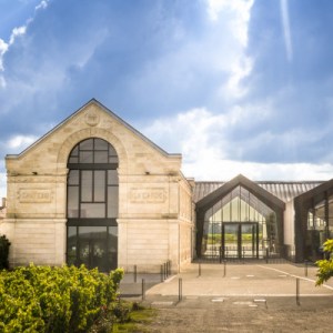Bordeaux Château Discovery Tour Experience