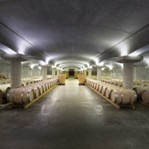 Bordeaux Château Discovery Tour Experience