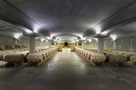 Bordeaux Château Discovery Tour Experience