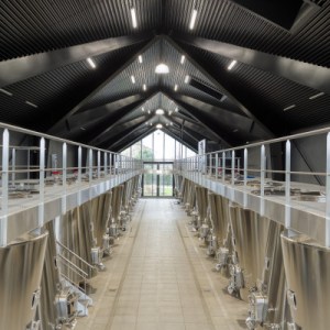 Bordeaux Château Discovery Tour Experience