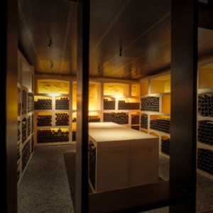 Bordeaux Château Discovery Tour Experience