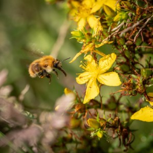 Bordeaux Château Nature Tour Experience