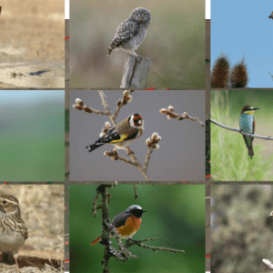 Bordeaux Château Nature Tour Experience