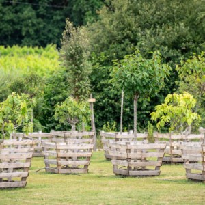 Bordeaux Château Nature Tour Experience
