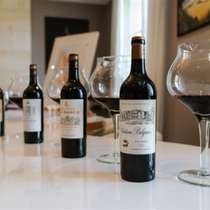 Bordeaux Château Discovery Tour Experience