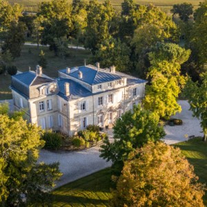 Bordeaux Château Discovery Tour Experience