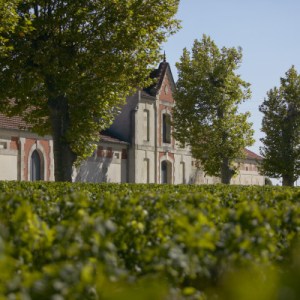 Bordeaux Château Discovery Tour Experience