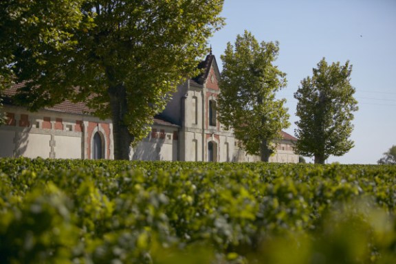 Bordeaux Château Discovery Tour Experience